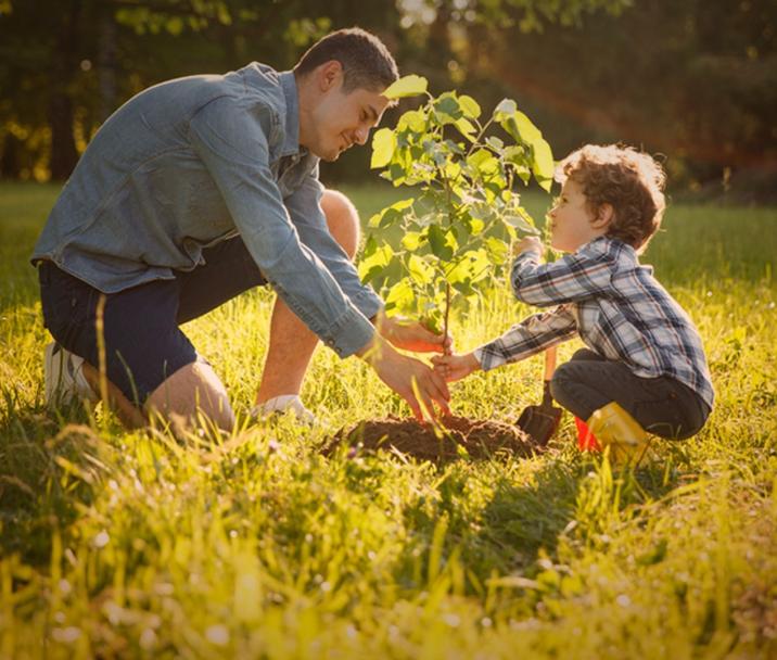 Fot. Shutterstock.com